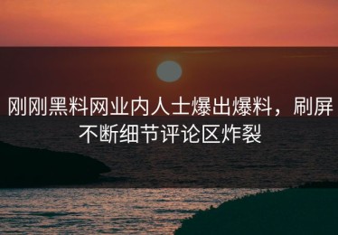 刚刚黑料网业内人士爆出爆料，刷屏不断细节评论区炸裂