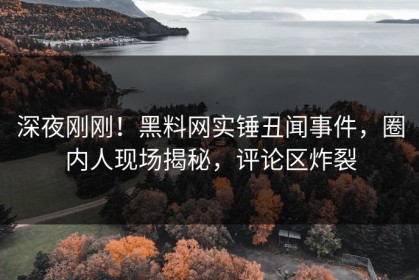 深夜刚刚！黑料网实锤丑闻事件，圈内人现场揭秘，评论区炸裂