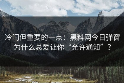 冷门但重要的一点：黑料网今日弹窗为什么总爱让你“允许通知”？