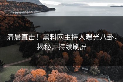 清晨直击！黑料网主持人曝光八卦，揭秘，持续刷屏
