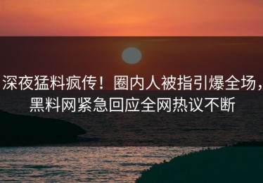深夜猛料疯传！圈内人被指引爆全场，黑料网紧急回应全网热议不断