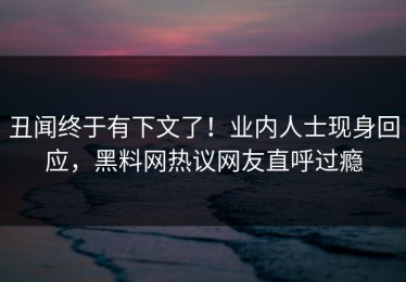 丑闻终于有下文了！业内人士现身回应，黑料网热议网友直呼过瘾