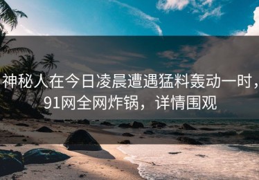 神秘人在今日凌晨遭遇猛料轰动一时，91网全网炸锅，详情围观