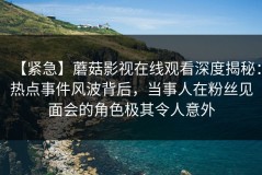 【紧急】蘑菇影视在线观看深度揭秘：热点事件风波背后，当事人在粉丝见面会的角色极其令人意外