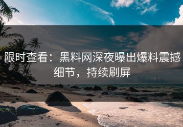 限时查看：黑料网深夜曝出爆料震撼细节，持续刷屏