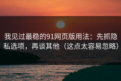 我见过最稳的91网页版用法：先抓隐私选项，再谈其他（这点太容易忽略）
