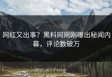 网红又出事？黑料网刚刚曝出秘闻内幕，评论数破万