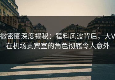 微密圈深度揭秘：猛料风波背后，大V在机场贵宾室的角色彻底令人意外