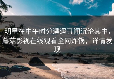 明星在中午时分遭遇丑闻沉沦其中，蘑菇影视在线观看全网炸锅，详情发现