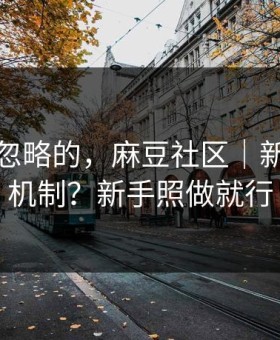 一直被忽略的，麻豆社区｜新剧推荐机制？新手照做就行
