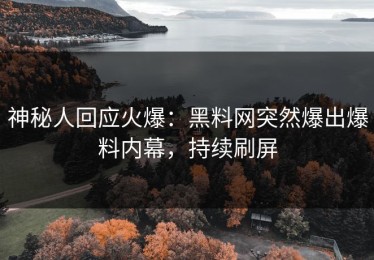 神秘人回应火爆：黑料网突然爆出爆料内幕，持续刷屏