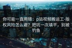 你可能一直用错：p站视频搬运工-版权风险怎么避？把坑一次填平，别被钓鱼