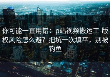 你可能一直用错：p站视频搬运工-版权风险怎么避？把坑一次填平，别被钓鱼