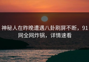 神秘人在昨晚遭遇八卦刷屏不断，91网全网炸锅，详情速看