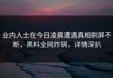 业内人士在今日凌晨遭遇真相刷屏不断，黑料全网炸锅，详情深扒