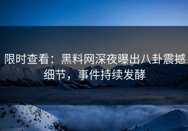 限时查看：黑料网深夜曝出八卦震撼细节，事件持续发酵