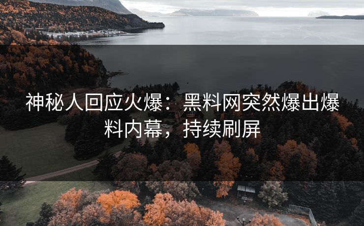 神秘人回应火爆：黑料网突然爆出爆料内幕，持续刷屏