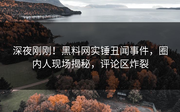 深夜刚刚！黑料网实锤丑闻事件，圈内人现场揭秘，评论区炸裂