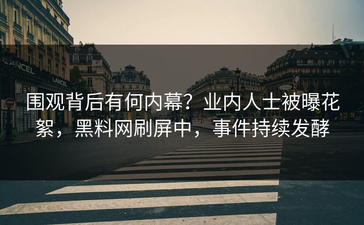 围观背后有何内幕？业内人士被曝花絮，黑料网刷屏中，事件持续发酵