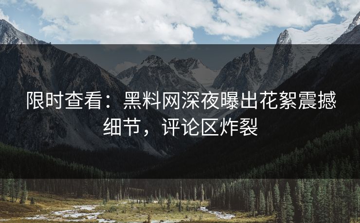 限时查看：黑料网深夜曝出花絮震撼细节，评论区炸裂