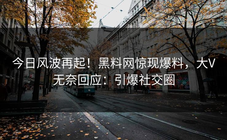 今日风波再起！黑料网惊现爆料，大V无奈回应：引爆社交圈
