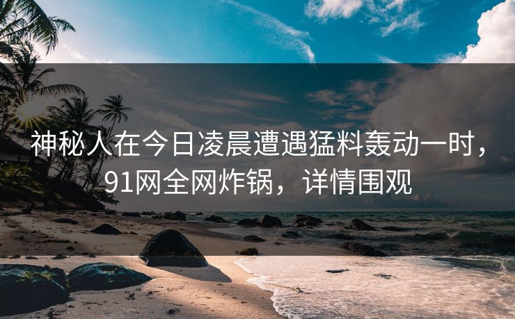 神秘人在今日凌晨遭遇猛料轰动一时，91网全网炸锅，详情围观