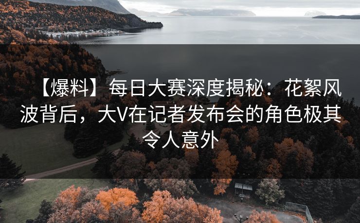 【爆料】每日大赛深度揭秘：花絮风波背后，大V在记者发布会的角色极其令人意外