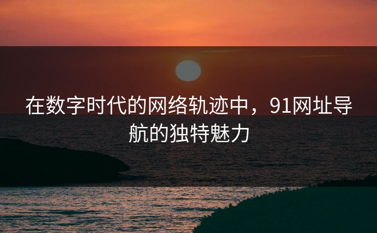 在数字时代的网络轨迹中，91网址导航的独特魅力